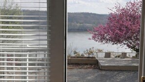 Blick durch eine Tür mit Fenster auf ein Gewässer, einen Baum mit rosa Blüten und eine entfernte Küste.