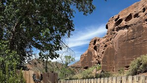 Eine Terrasse mit vier Adirondack-Stühlen, einem gemusterten Teppich und einem großen Pflanzgefäß.