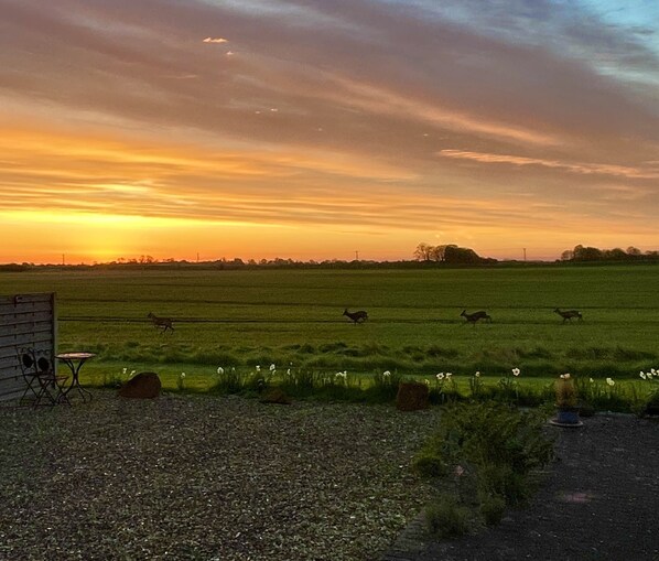 A rural landscape with a sunset, open fields, and a small structure with a table and chairs.