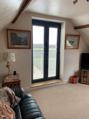 Smart TV, DVD player, books, video library