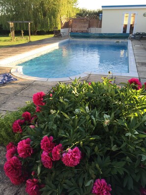 Une piscine entourée d’une végétation luxuriante et de fleurs aux couleurs vives.