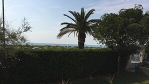 A view of a coastal area with a palm tree, a hedge, and a building with a gated entrance.