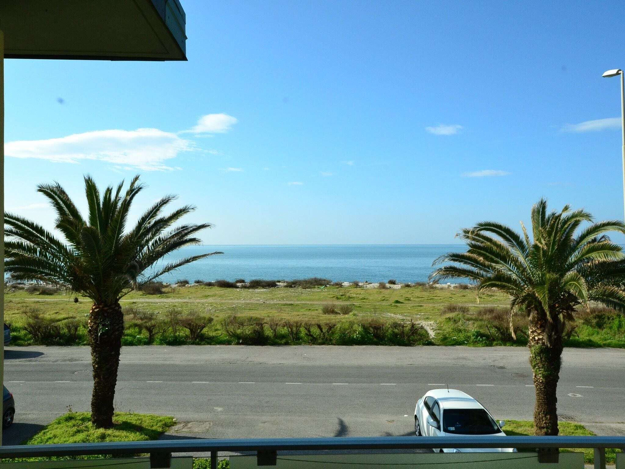 A view of the ocean from a parking area with palm trees and a road in the foreground.