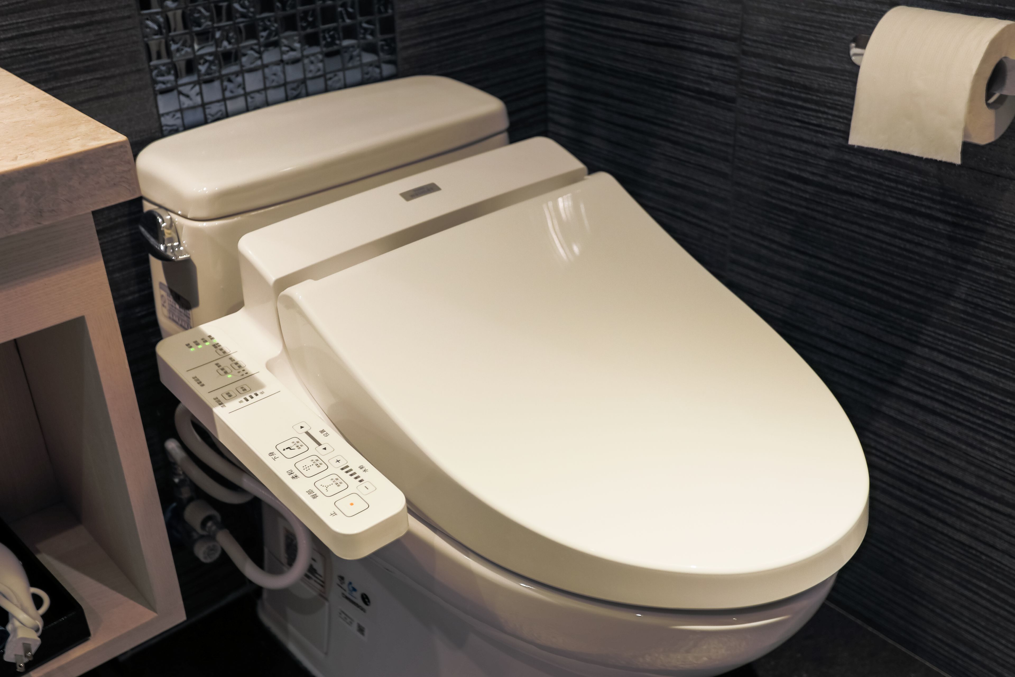 shower, free toiletries, hair dryer, slippers