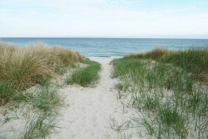 A sandy beach path leading to the ocean, surrounded by grassy dunes.