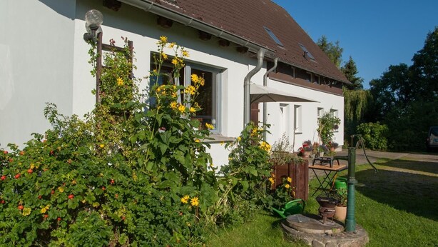A white house with a brown roof, a garden with yellow flowers, and a green watering can. - Beautiful, spacious apartment at the gates of the Hanseatic city of Rostock  (Lambrechtshagen)