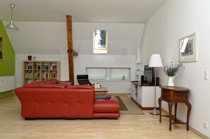 Älytelevisio, DVD-soitin, kirjoja, videokirjasto