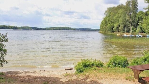 A lakeside view with a wooden bench and picnic table, surrounded by trees and a clear sky. - Vacation apartment Sielbeck, vacation with dog, WLAN available  (Eutin)