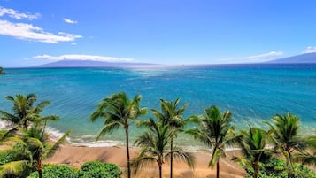 在海滩