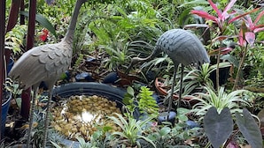 Un jardín con dos esculturas de pájaros, un estanque y diversas plantas.