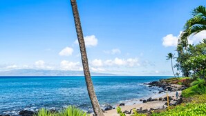 Una playa tropical con cielo despejado, una palmera y una costa rocosa.