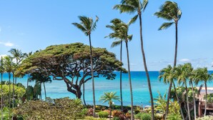 Un resort tropical con palmeras, un árbol grande y vista al océano.