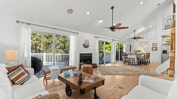 TV connectée, cheminée, lecteur de DVD, livres