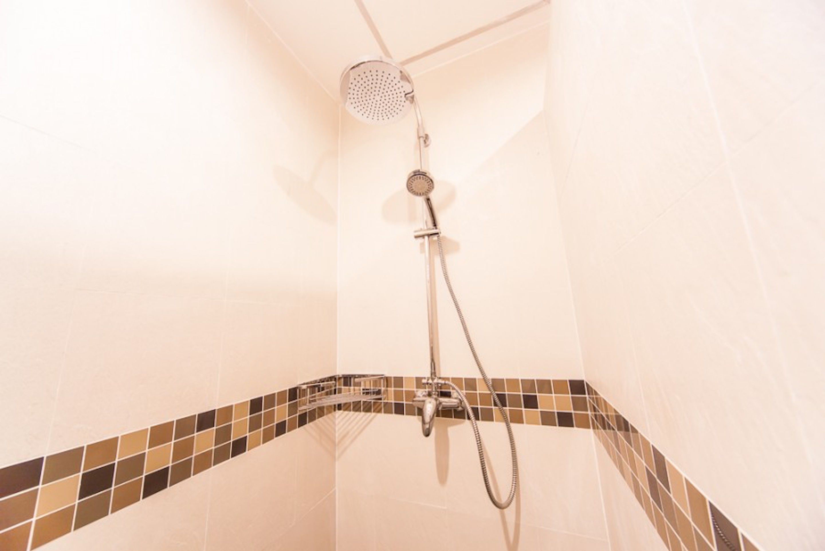 A shower with a handheld showerhead and a handheld hose.