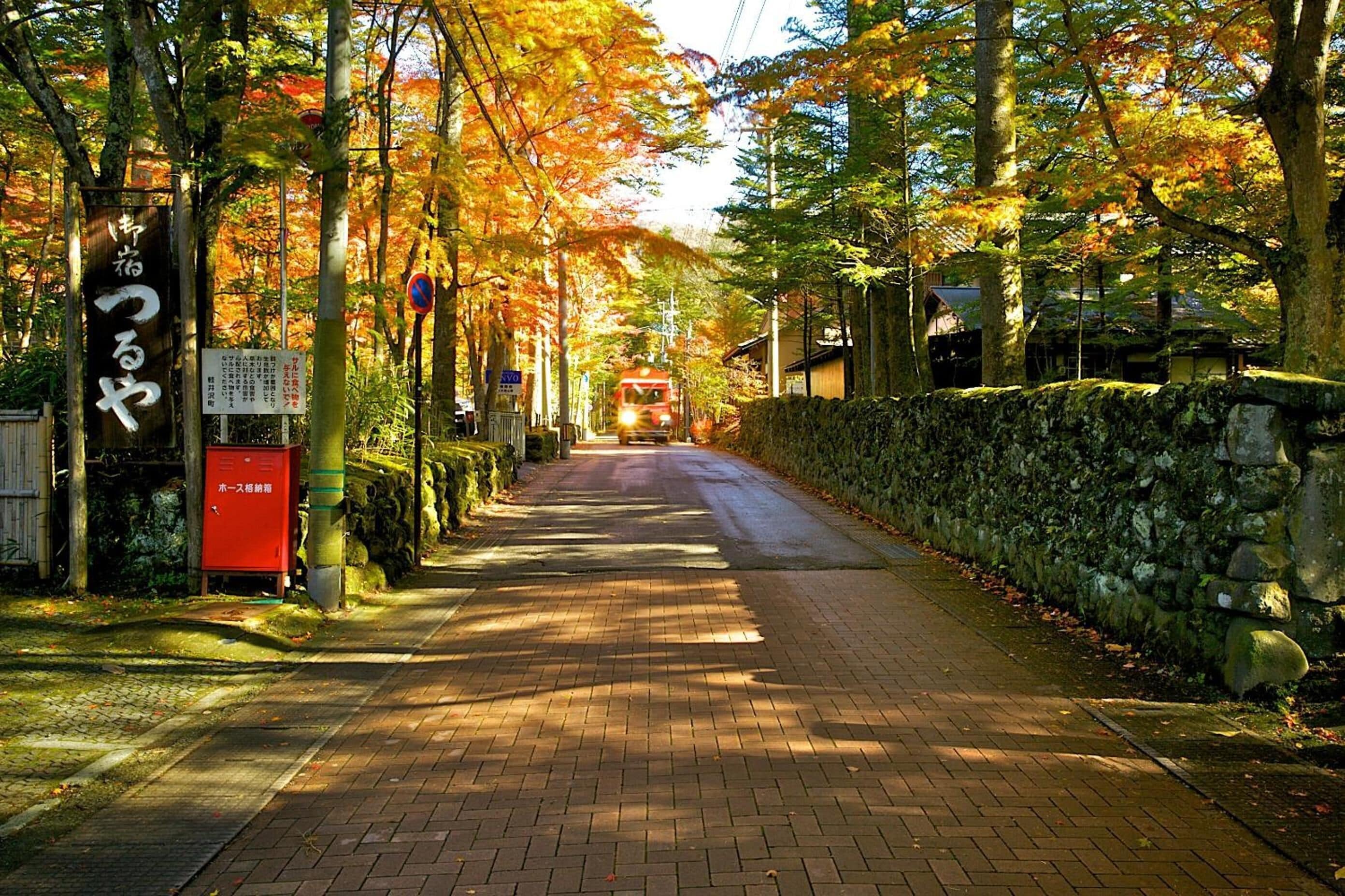 A paved pathway lined with trees displaying autumn foliage, a stone wall on one side, and a red mailbox on the other.