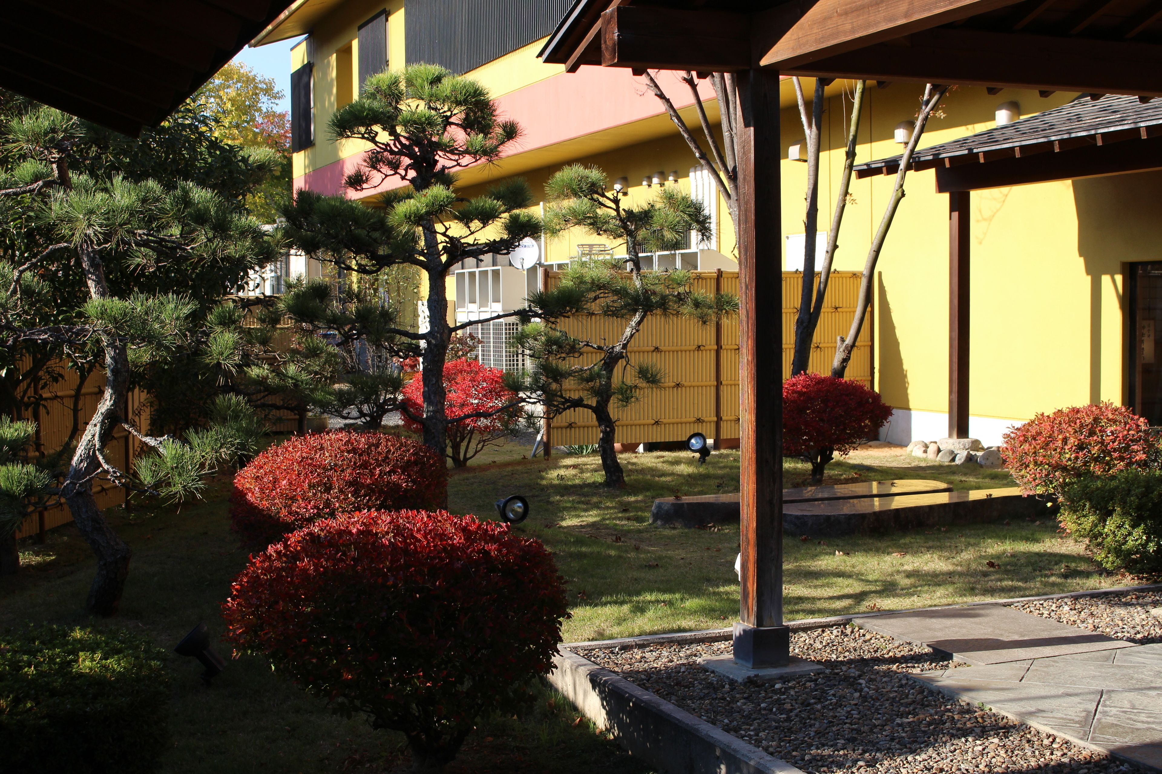 A traditional Japanese garden with pine trees and red bushes, a wooden pergola, and a yellow building in the background.
