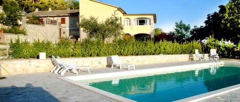 Outdoor pool, sun loungers