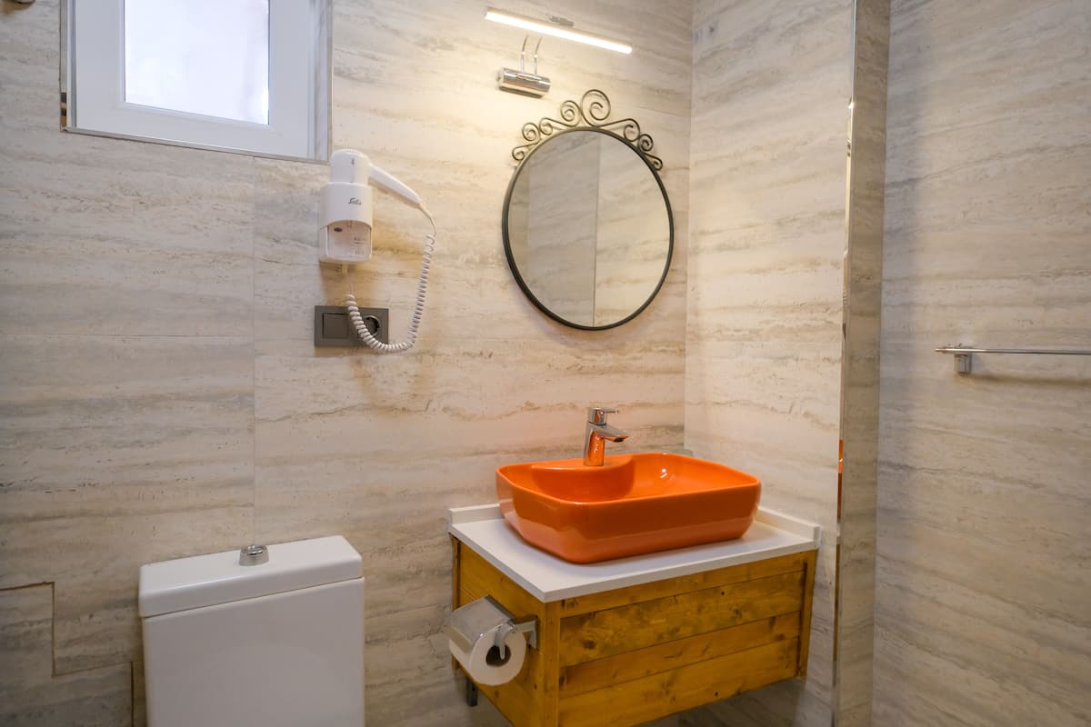 shower, free toiletries, hair dryer, slippers