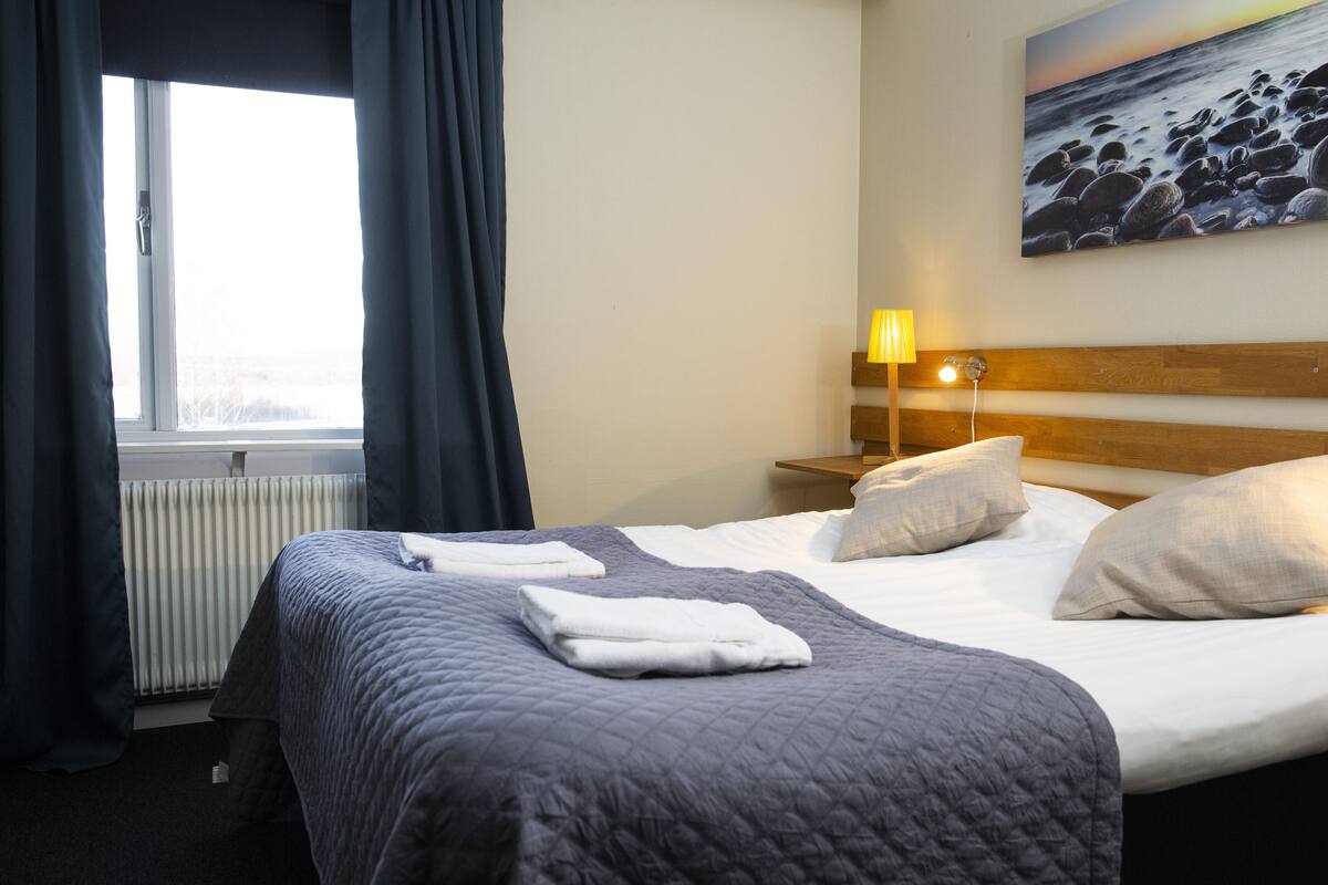Una habitación de hotel con una cama grande, una mesita de noche con lámpara, una ventana con cortinas y un cuadro en la pared.