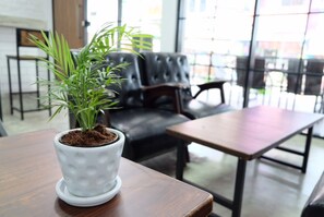 A potted plant on a wooden table in a modern indoor setting with leather seating and large windows. - Backpack Station - Hostel (Bangkok)