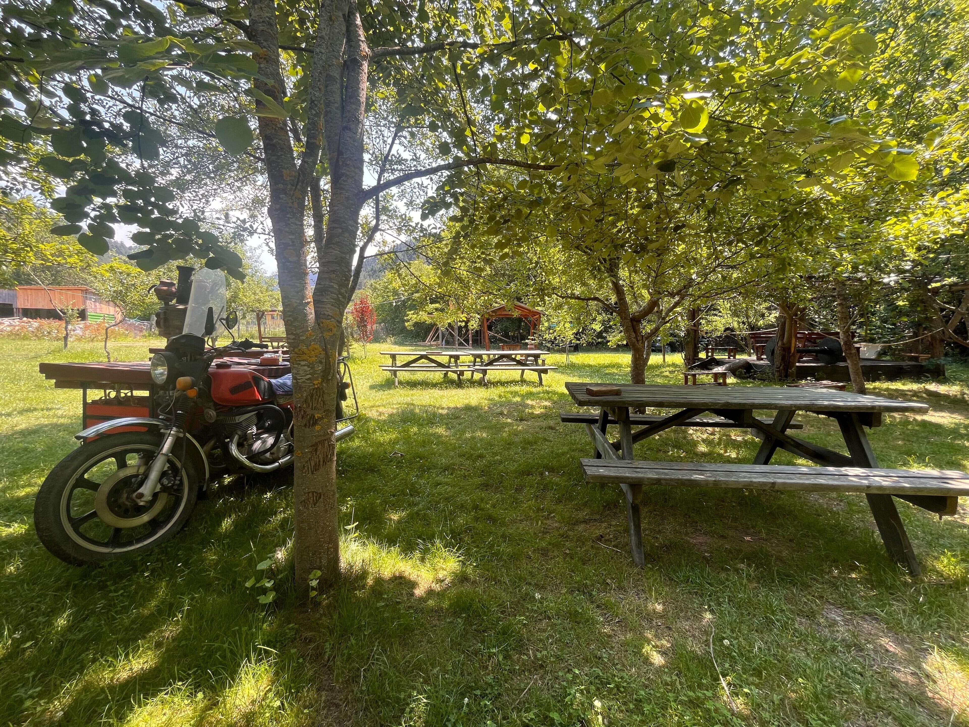 Zona de picnic con mesas y una motocicleta estacionada bajo los árboles.