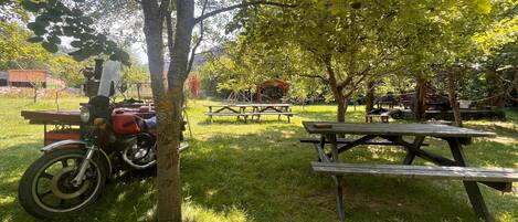 Zona de picnic con mesas y una motocicleta estacionada bajo los árboles.