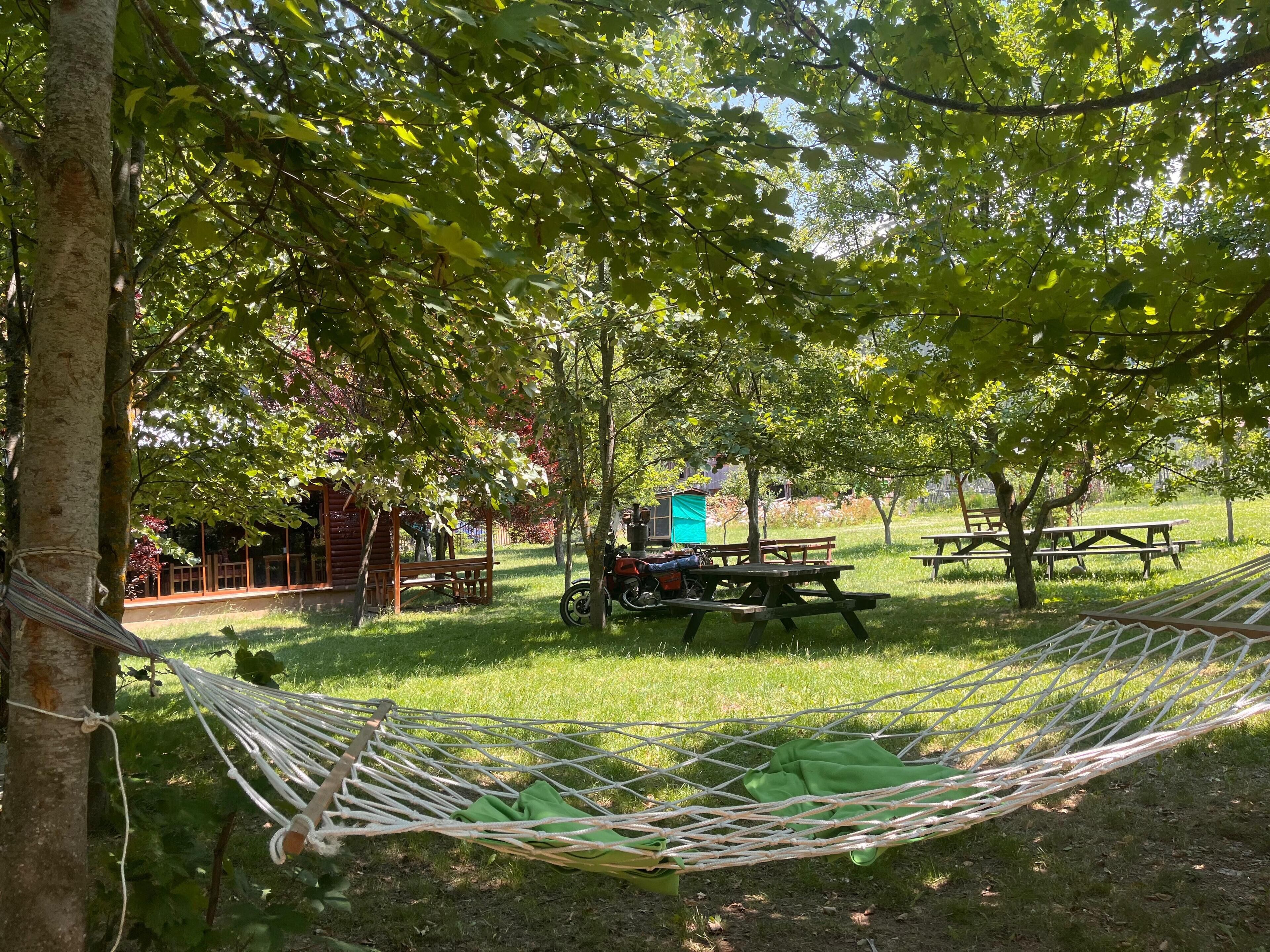 Taman