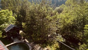 A view of a forested area with a small wooden structure and a stone well. - Abant Yeşil Vadi (Bolu)