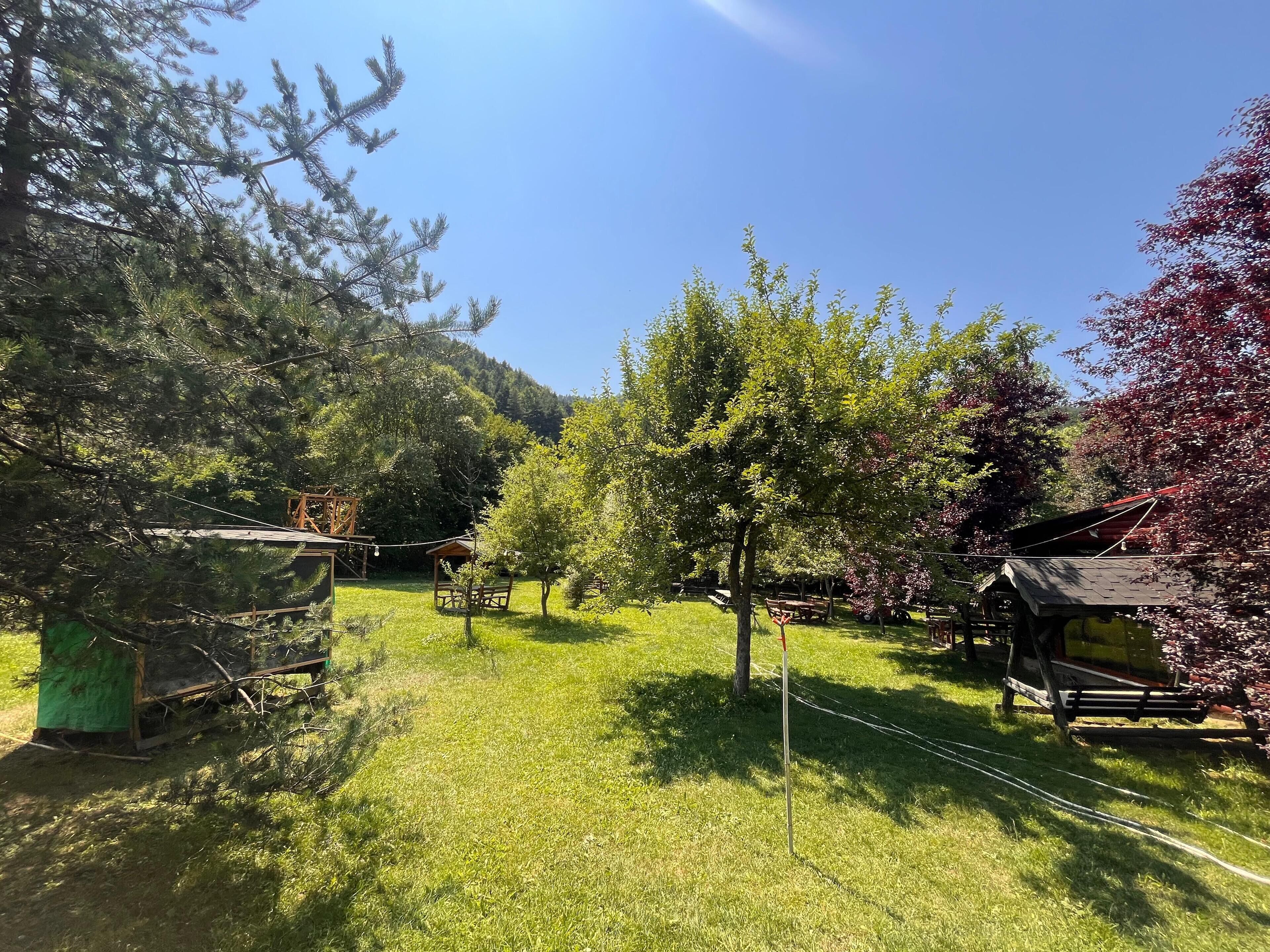 A rustic outdoor area with wooden structures, a grassy field, and trees.