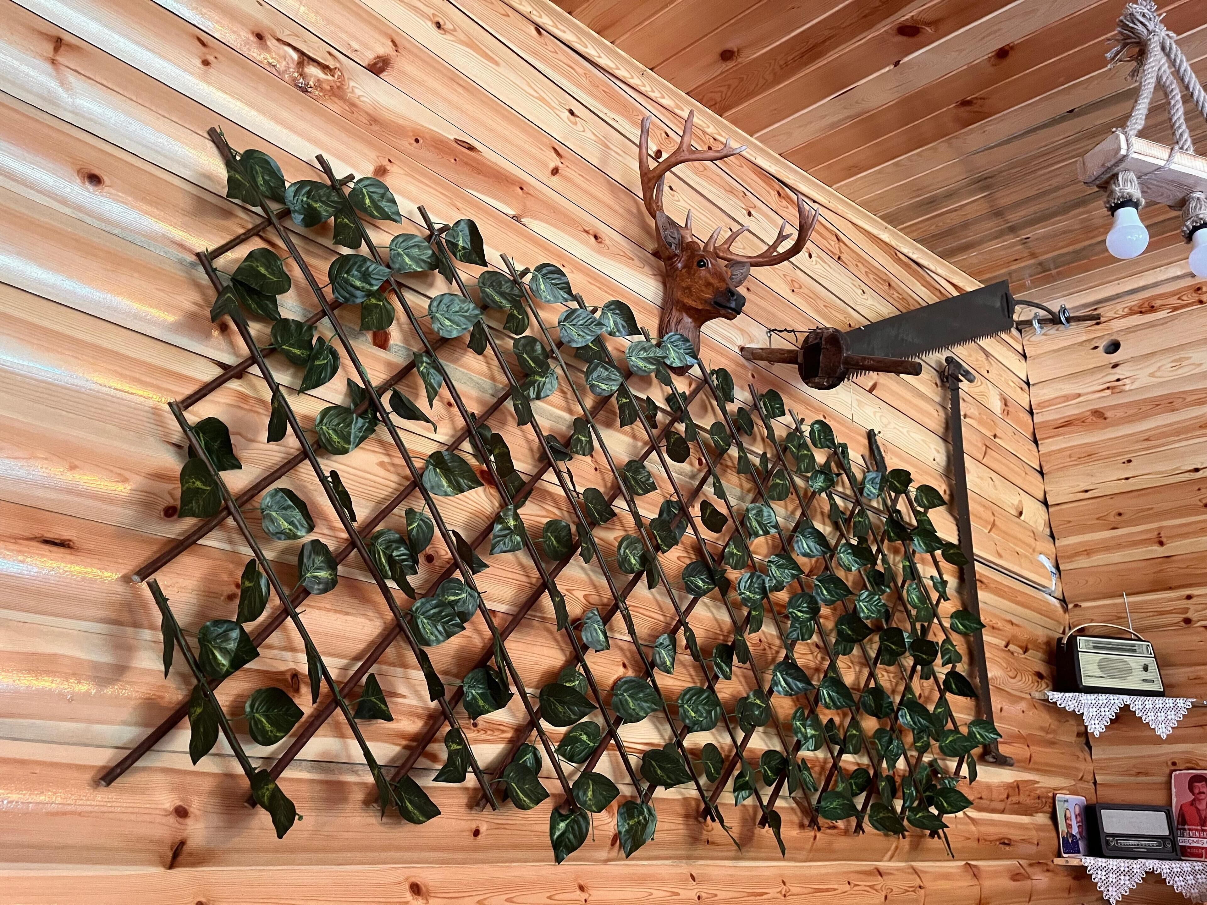 A wooden wall with a decorative metal lattice and a mounted deer head.
