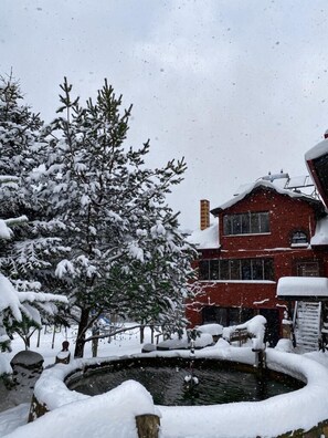 Exterior - Abant Yeşil Vadi (Bolu)