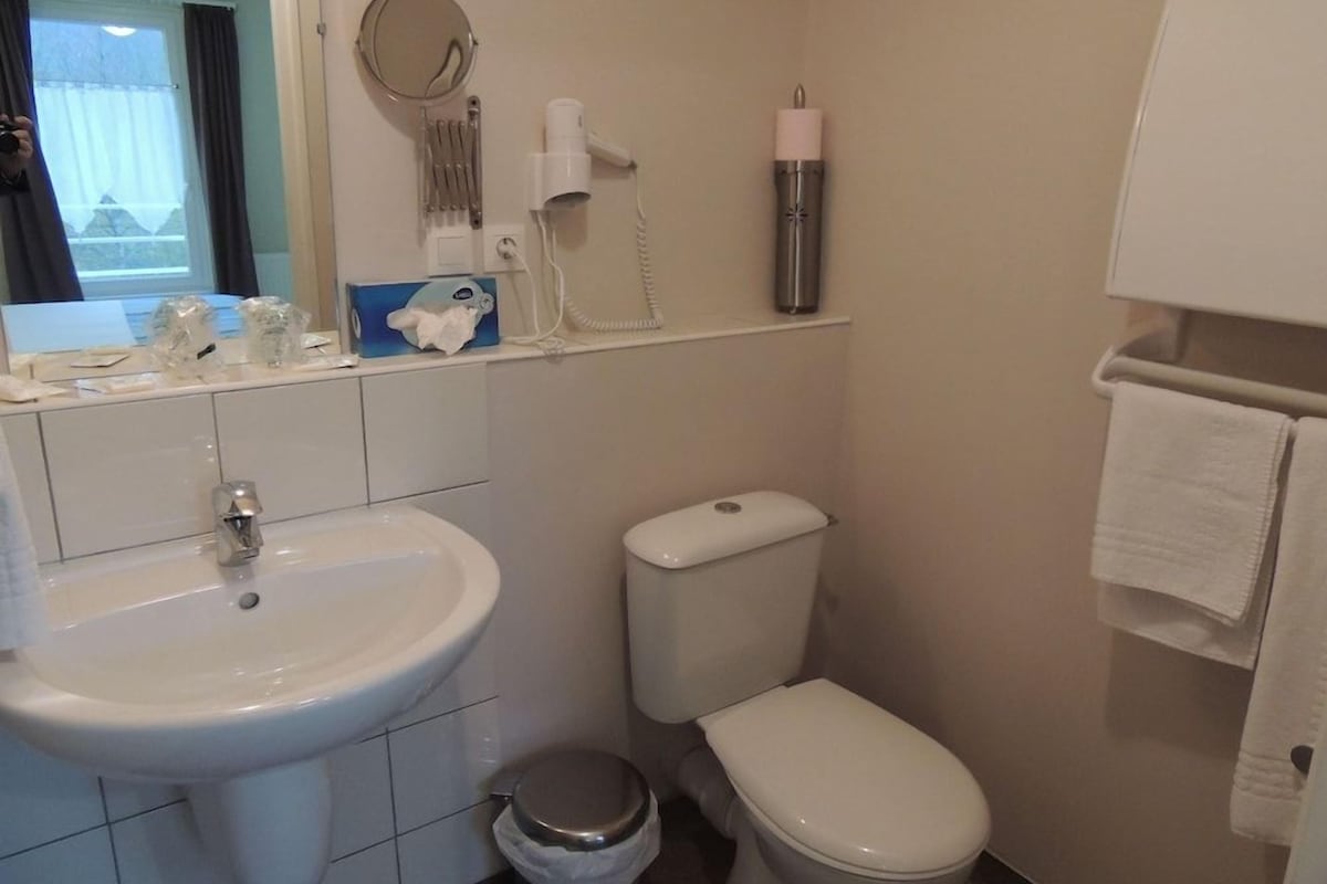 Un baño con lavamanos, inodoro y espejo.