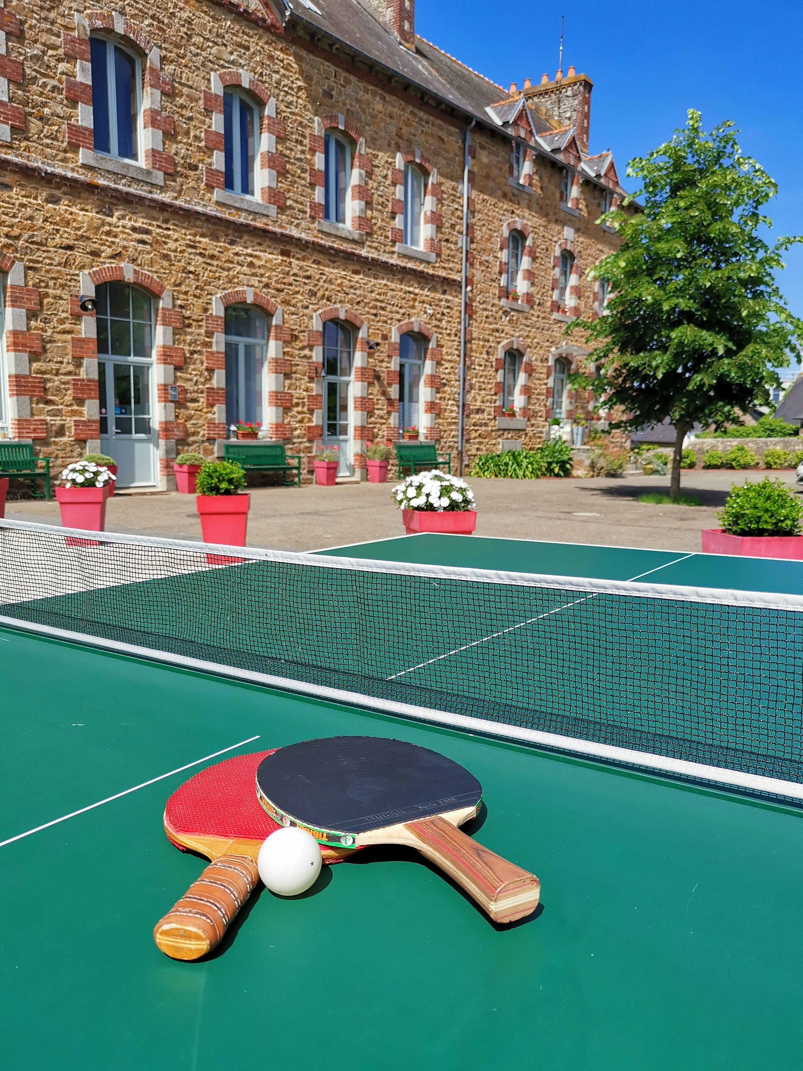 A tennis court with a net, a paddle, and a ball. In the background, there is a stone building with windows and potted plants.