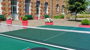 A tennis court with a net, a paddle, and a ball. In the background, there is a stone building with windows and potted plants.