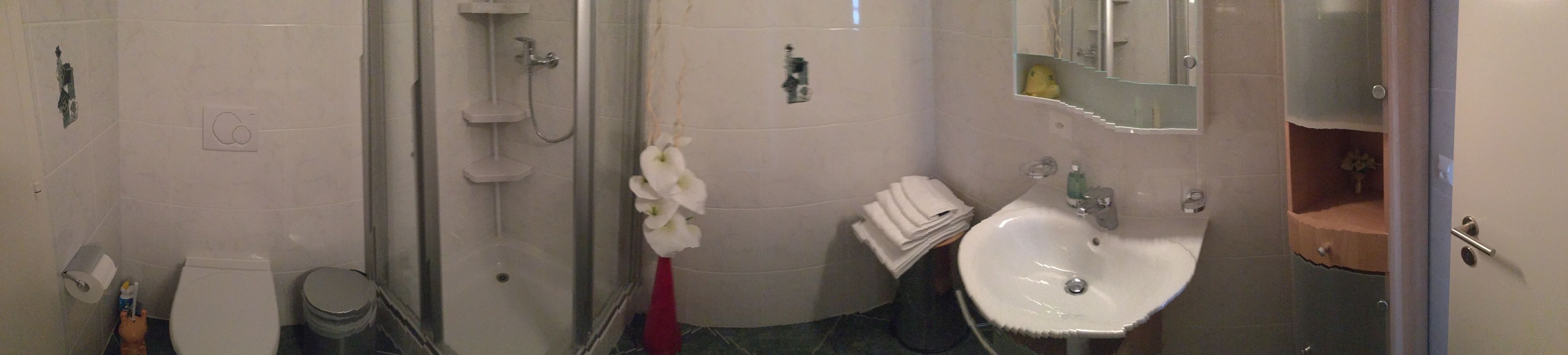 Executive Double Room, 1 Queen Bed, Private Bathroom, Executive Level | Bathroom | Free toiletries, hair dryer, towels