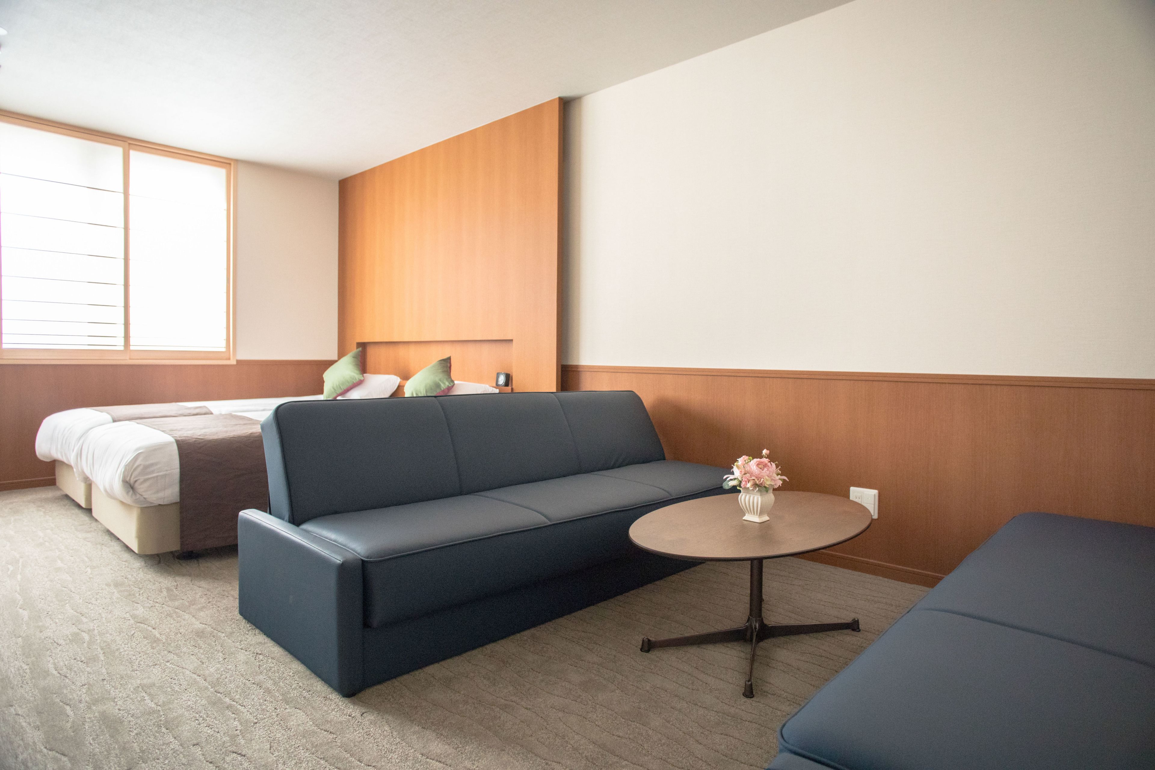 superior twin room | living area | tv