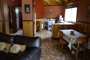 家庭木屋 (One) | 起居区 | 平板电视、壁炉、DVD 播放器