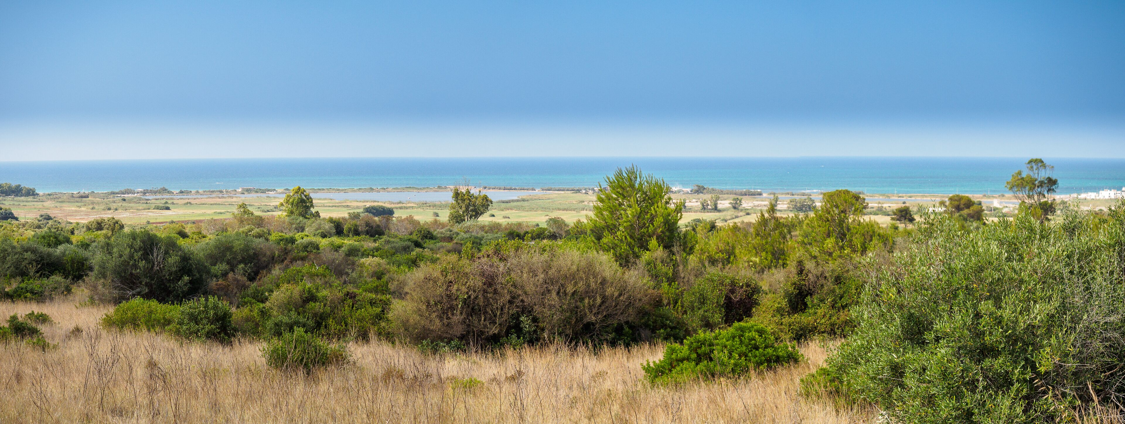 A coastal landscape with a view of the sea and a distant shoreline.