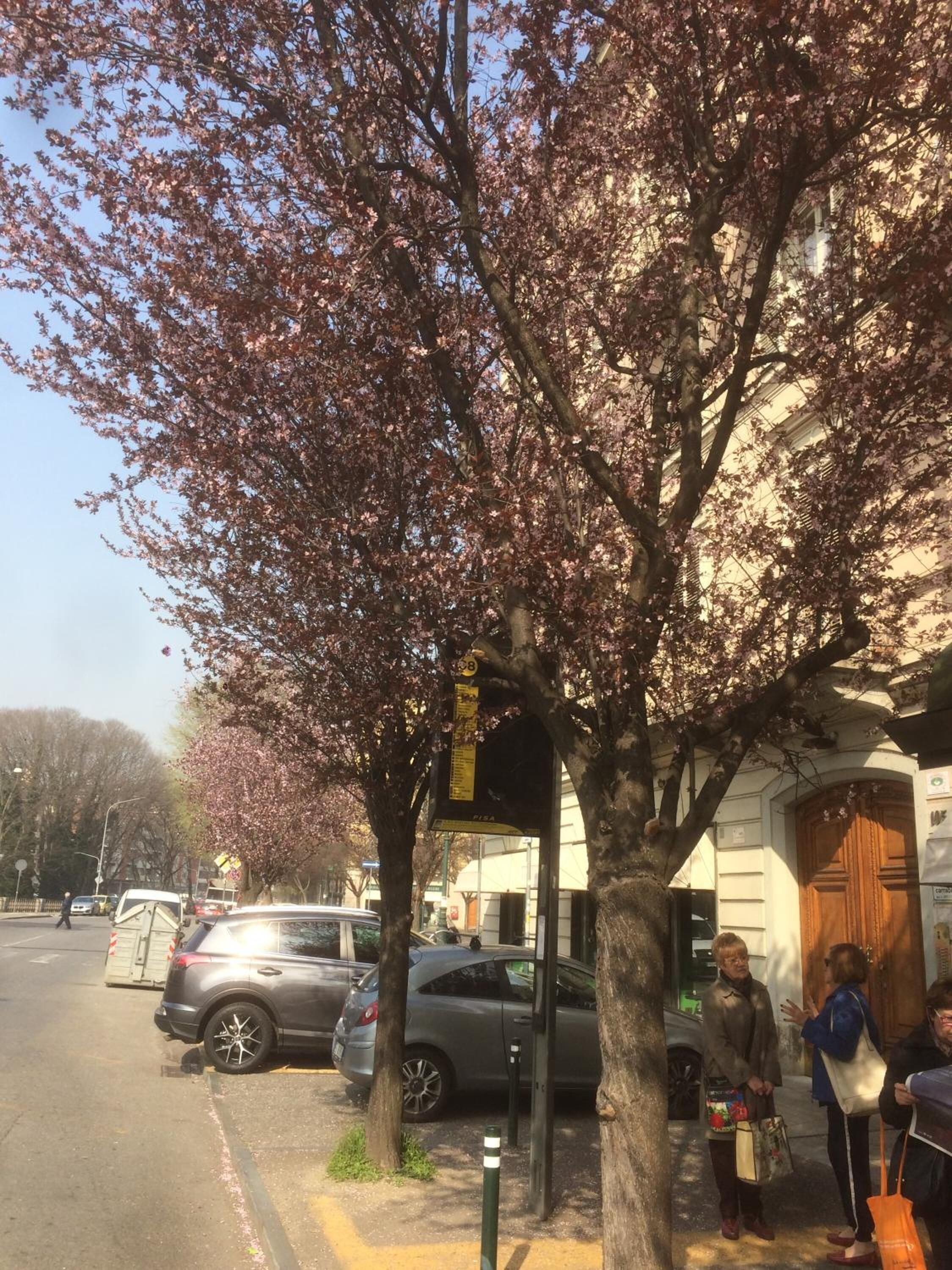 Foto - B&B la casa di Arturo