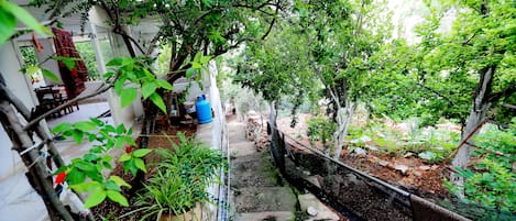 Un estrecho sendero de piedra bordeado de vegetación exuberante y un edificio blanco con ropa roja tendida.