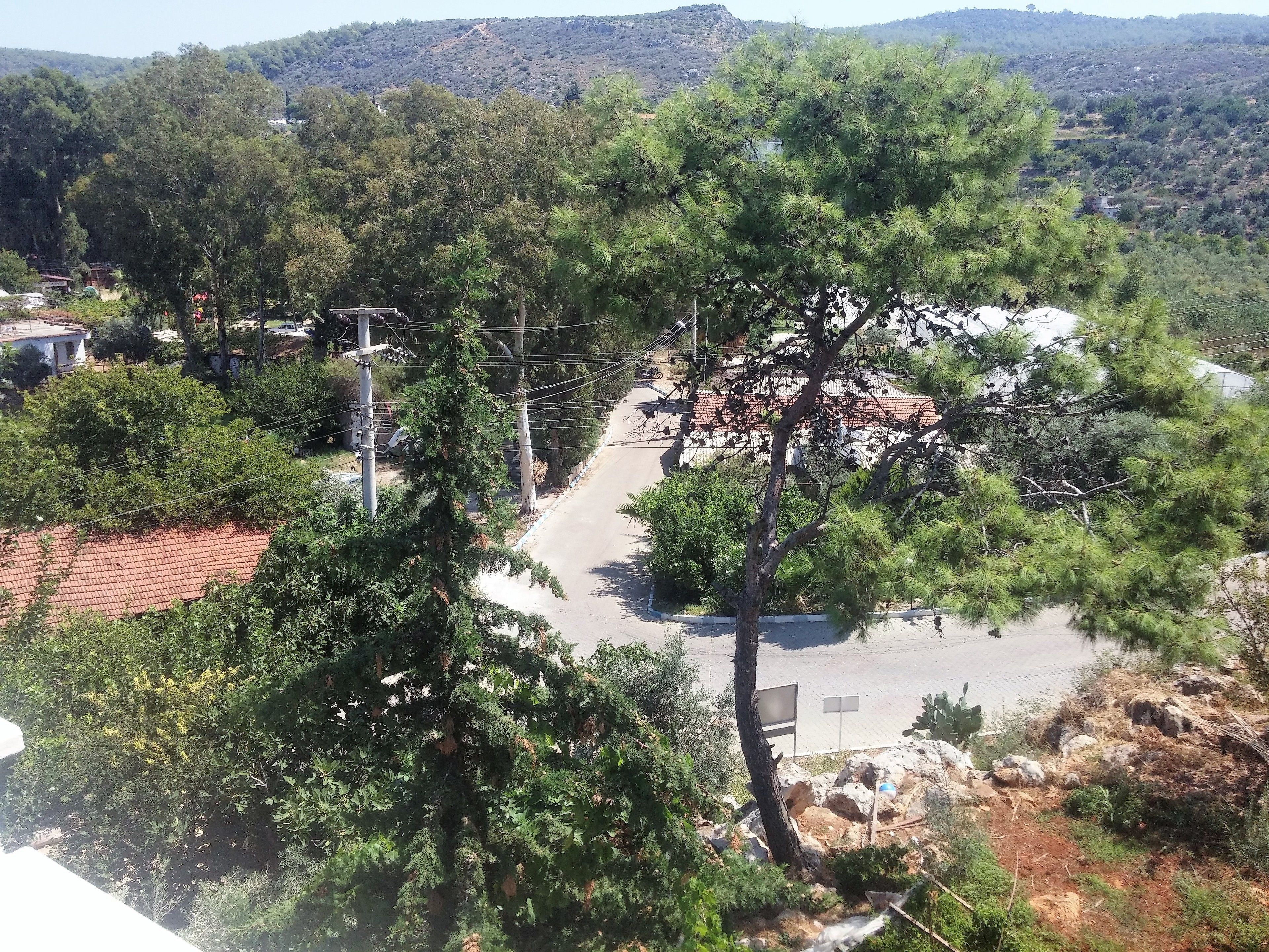 basic twin room, mountain view | street view