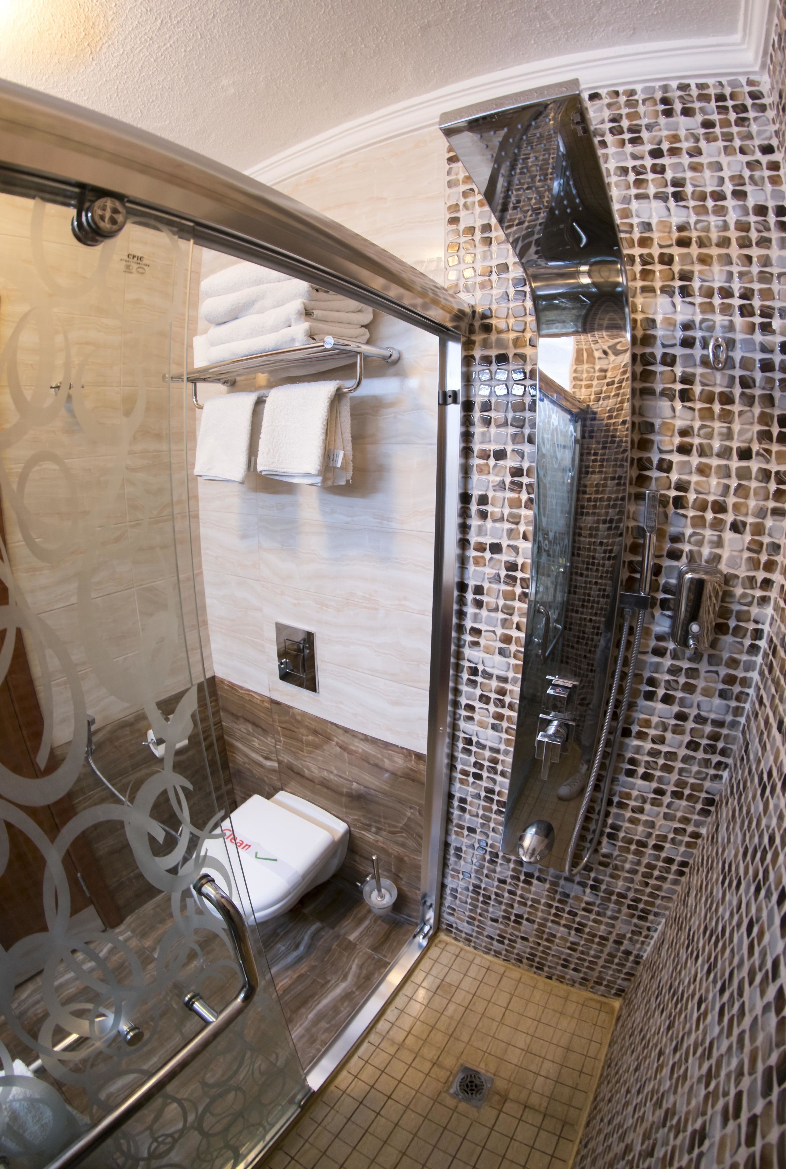 A modern bathroom with a glass shower enclosure, a white toilet, and a mosaic tiled wall.