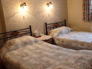 Habitació amb dos llits individuals estàndard, amb bany privat (Downstairs backroom)