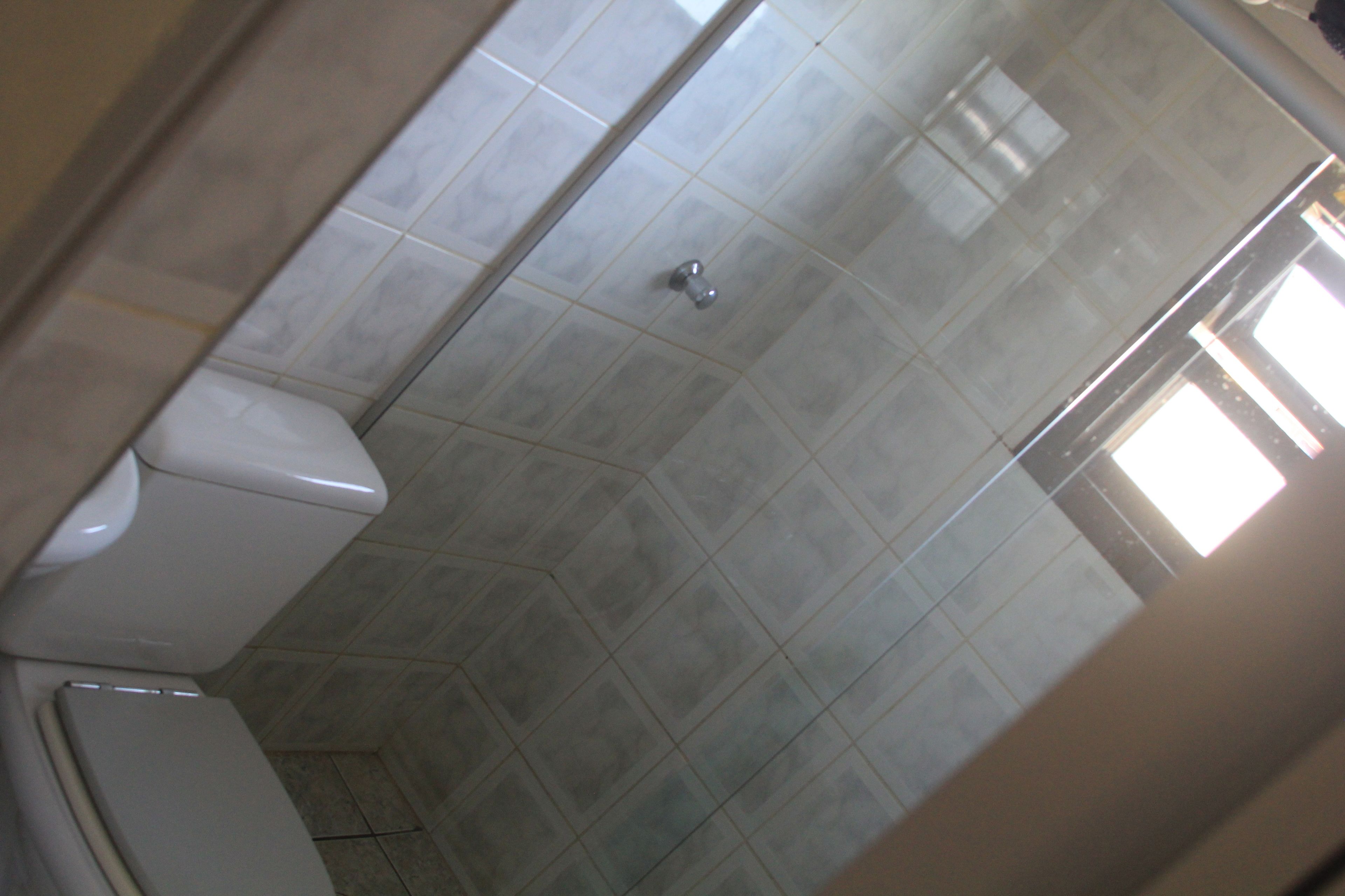 A bathroom with a toilet, a shower, and a window.