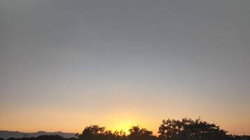 Un atardecer con siluetas de árboles y colinas lejanas.
