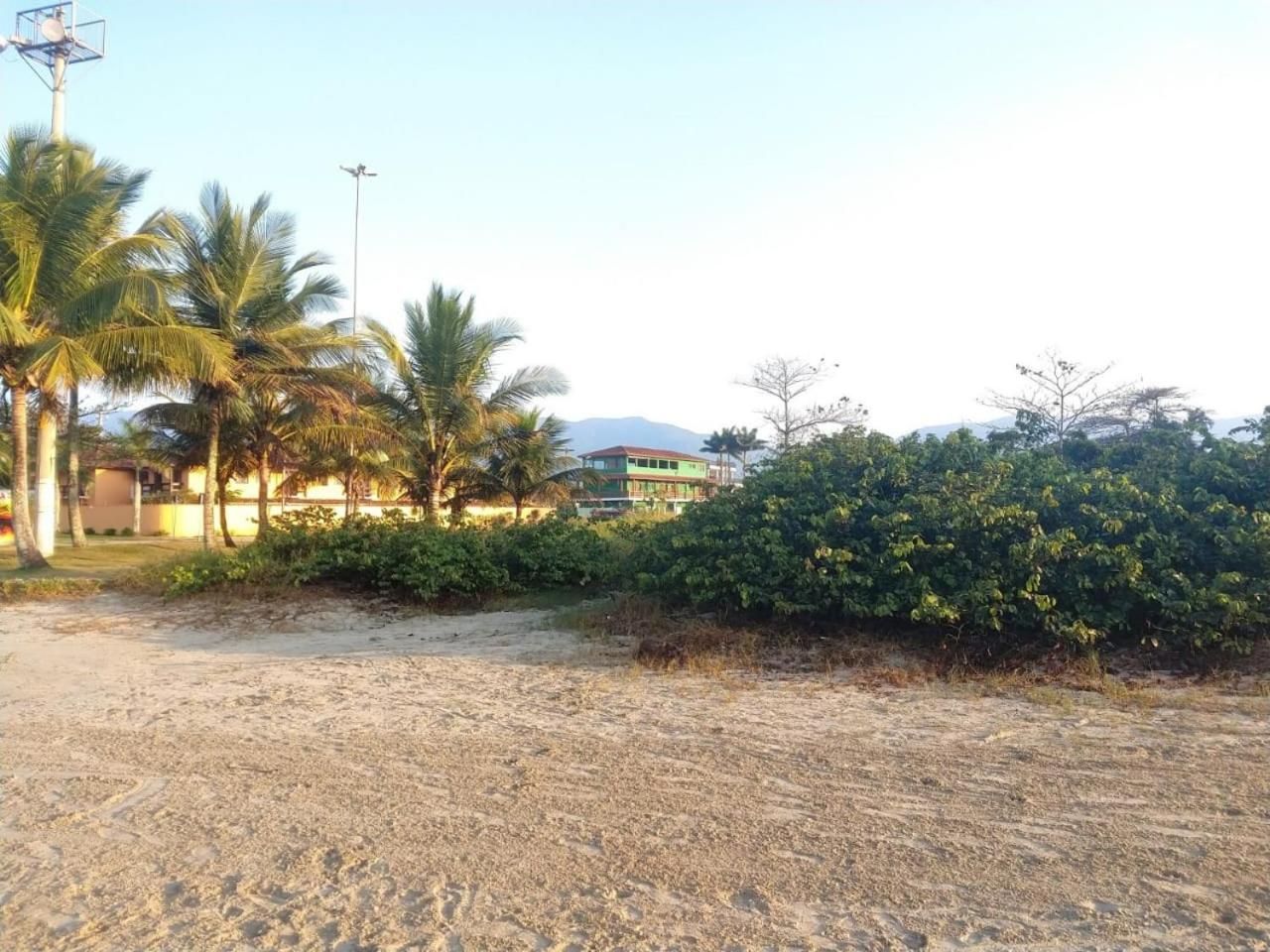 A sandy beach area with palm trees and a building in the background.