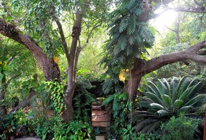 Garden Room | Vistas al patio