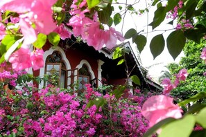 Bougainvillea Room | In-room safe, desk, iron/ironing board, free WiFi