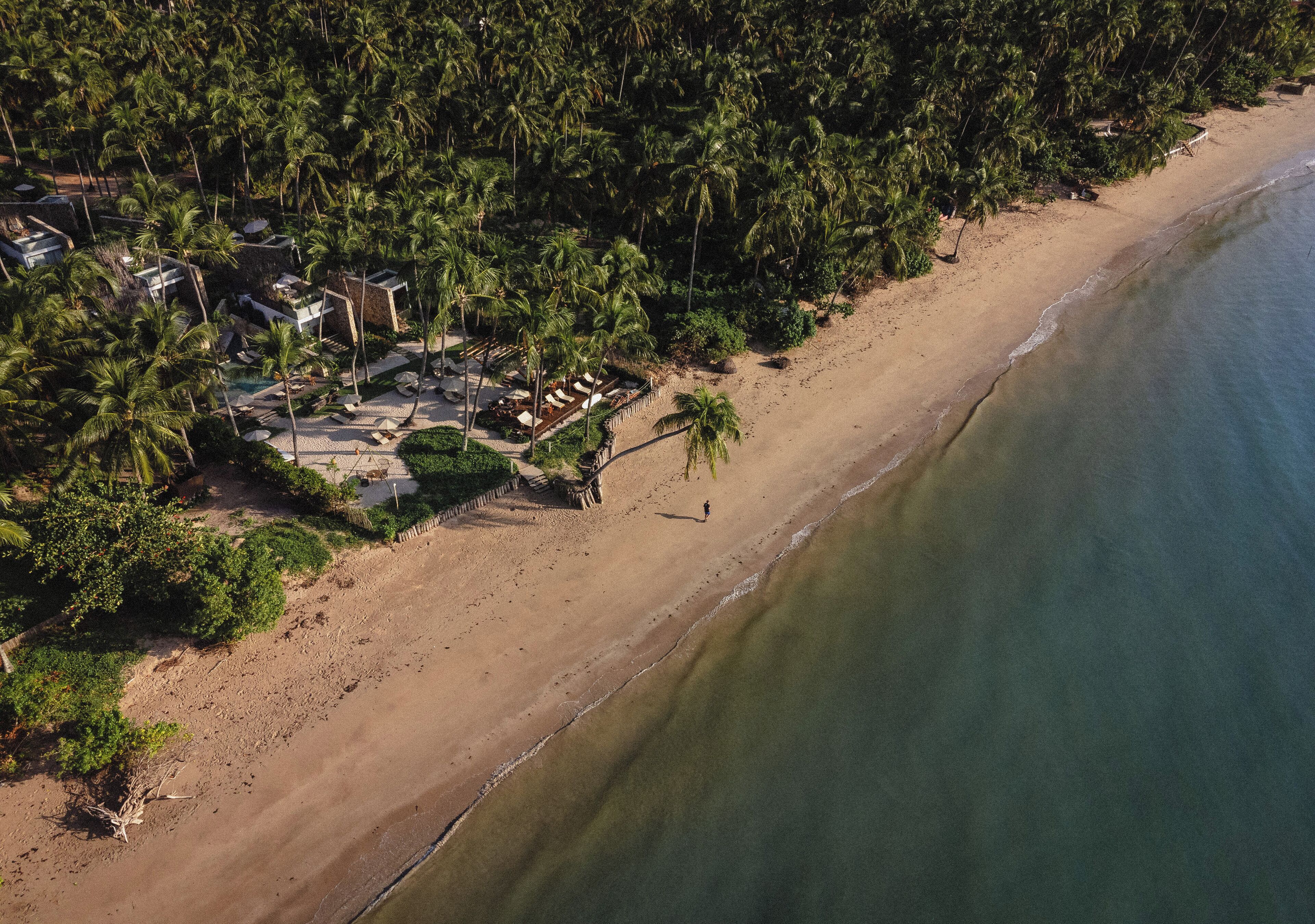 An aerial view of a beachside resort with multiple villas, a swimming pool, and lush palm trees.