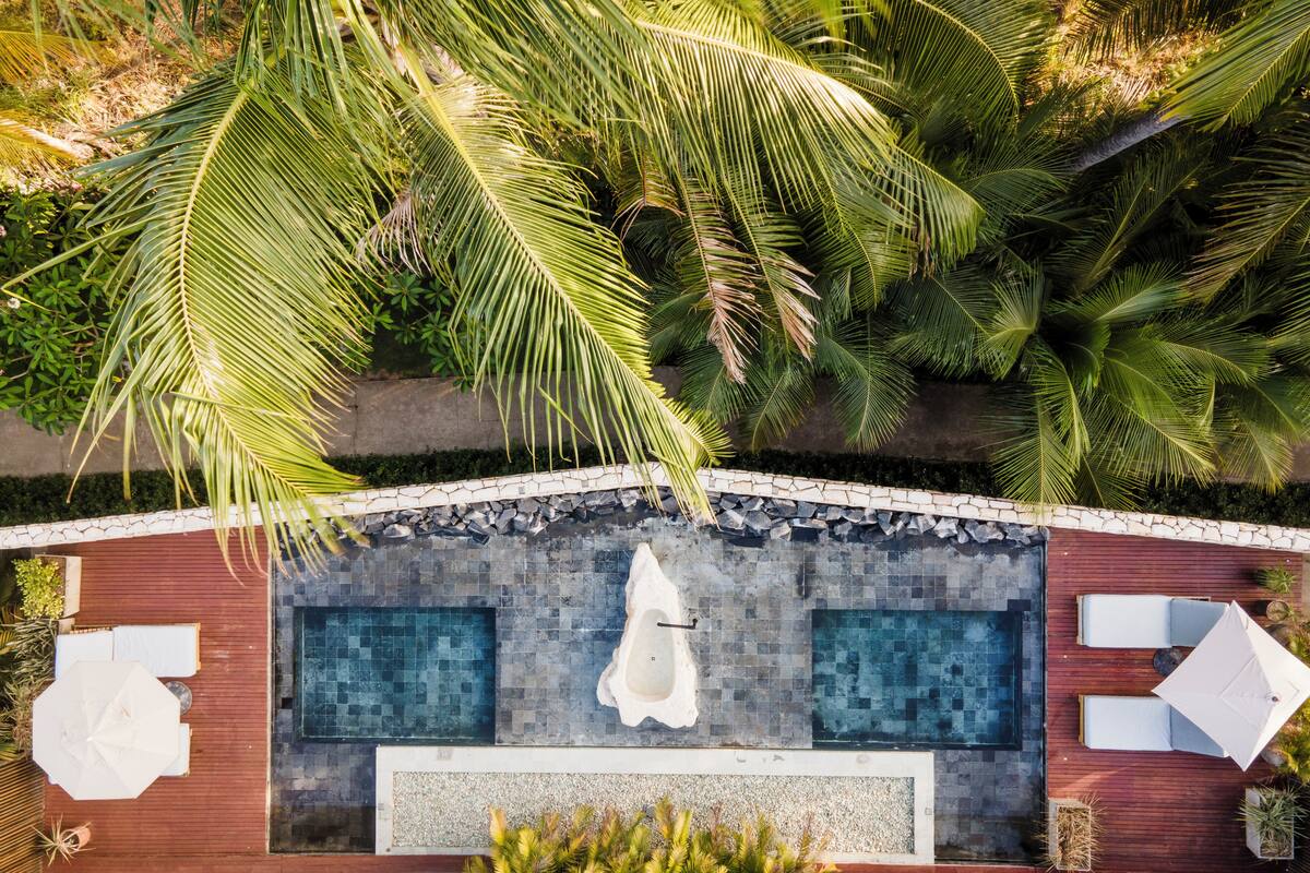 A rooftop pool with two separate sections, surrounded by palm trees and a stone wall.